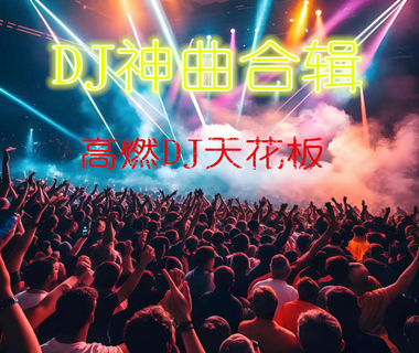 【DJ神曲合辑】-幸运小猪音乐网提供下载